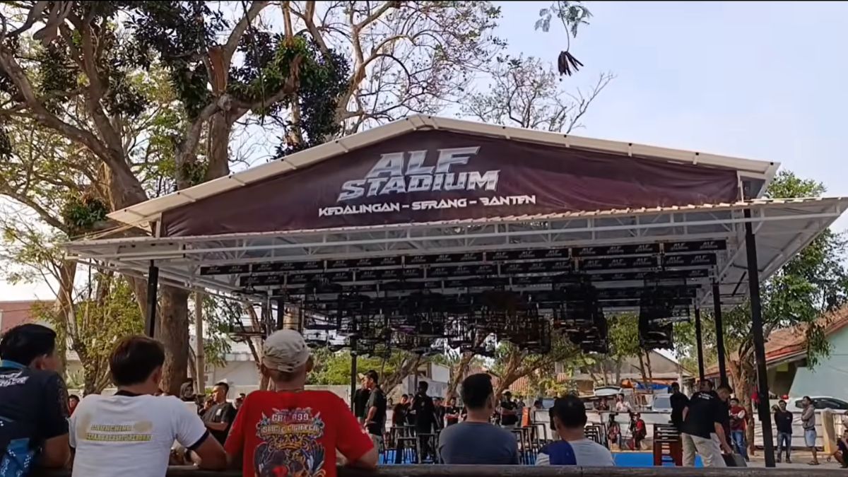 Prestasi Gemilang: Lintang Jaya SF Sabet Juara Team Terbaik SF di Piala Tukang Angon 5 Serang